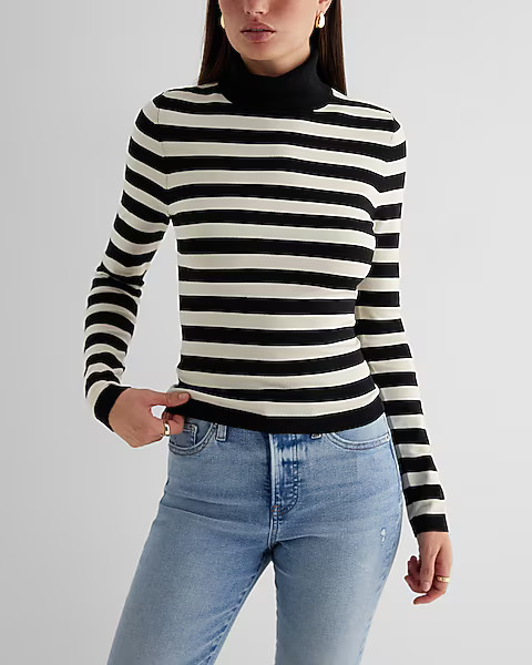 Silky Soft Striped Fitted Turtleneck Sweater | Express