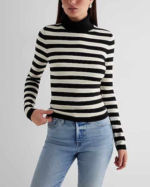 Silky Soft Striped Fitted Turtleneck Sweater | Express