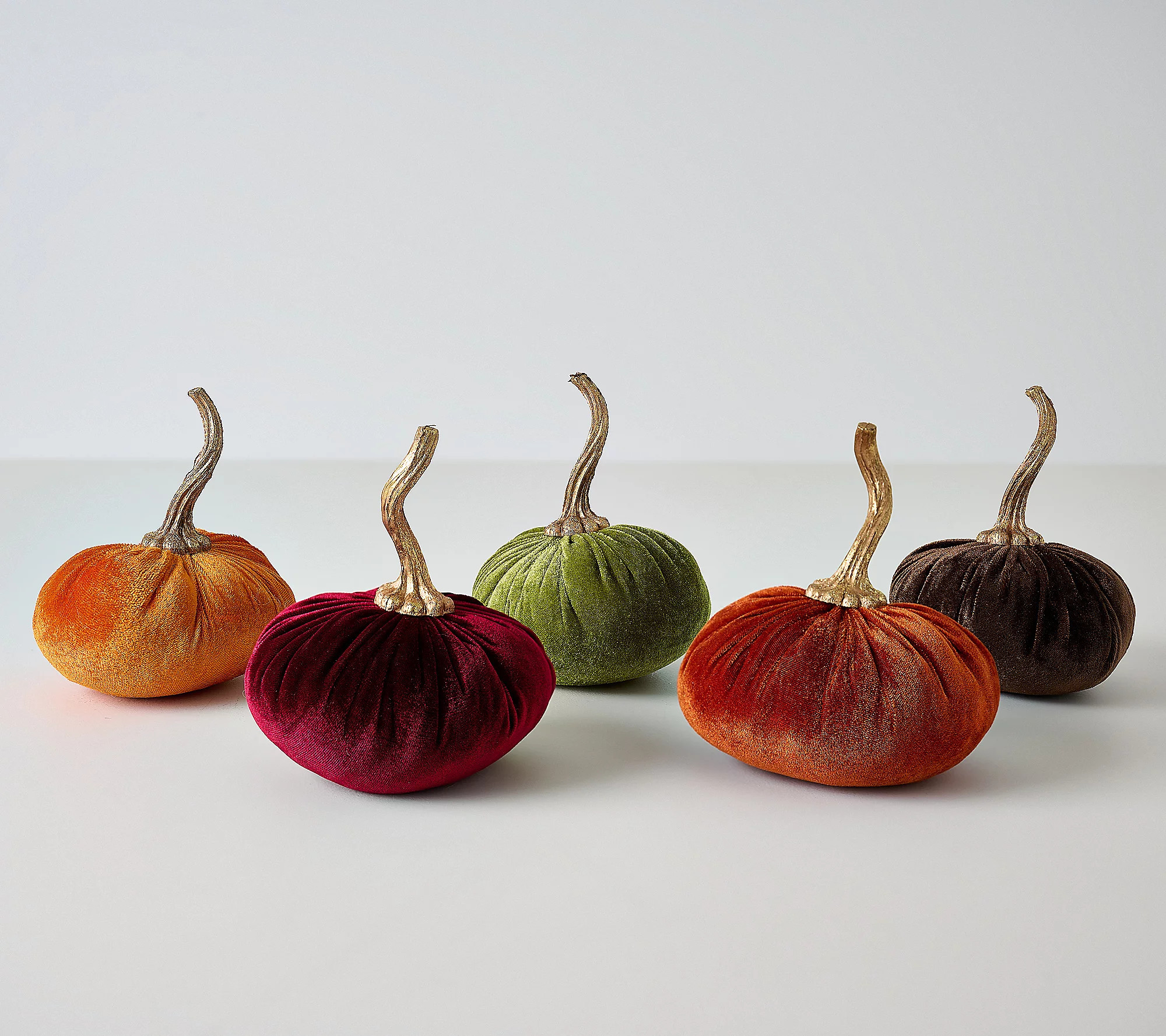 Set of (5) 5.5" Velvet Plush Pumpkins by Valerie | QVC