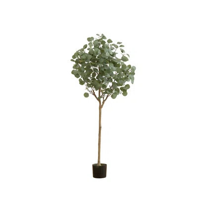 60'' Faux Eucalyptus Tree in Pot | Wayfair North America