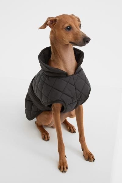 Quilted Dog Jacket | H&M (US + CA)