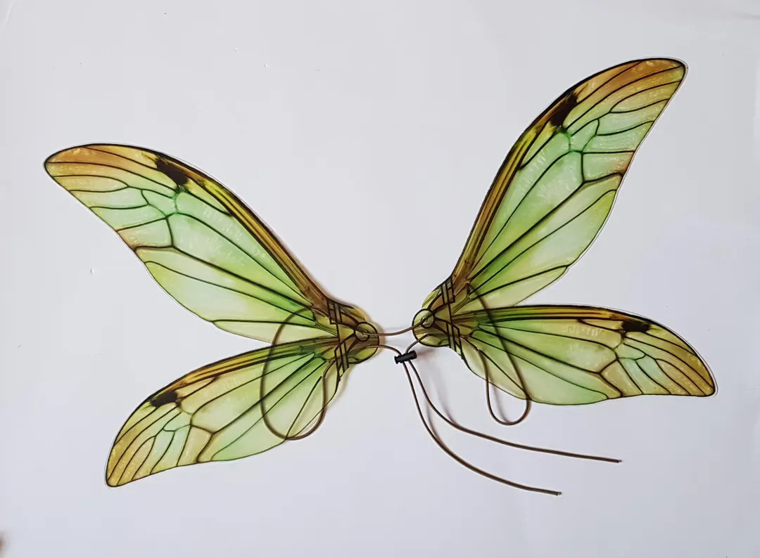 Green Fairy Wings:realistic High-quality Printing of the Drawing, Lightweight Plastic, Adjustable... | Etsy (Global)