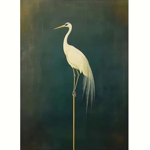 5D Bird Diamond Painting Kits for Adults Beginner,Diamond Art Kits for White Crane,DIY Round Full Drill Diamond Dots Paintings with Gem Art Crafts for Home Wall Decor 12X16 Inch | Amazon (US)