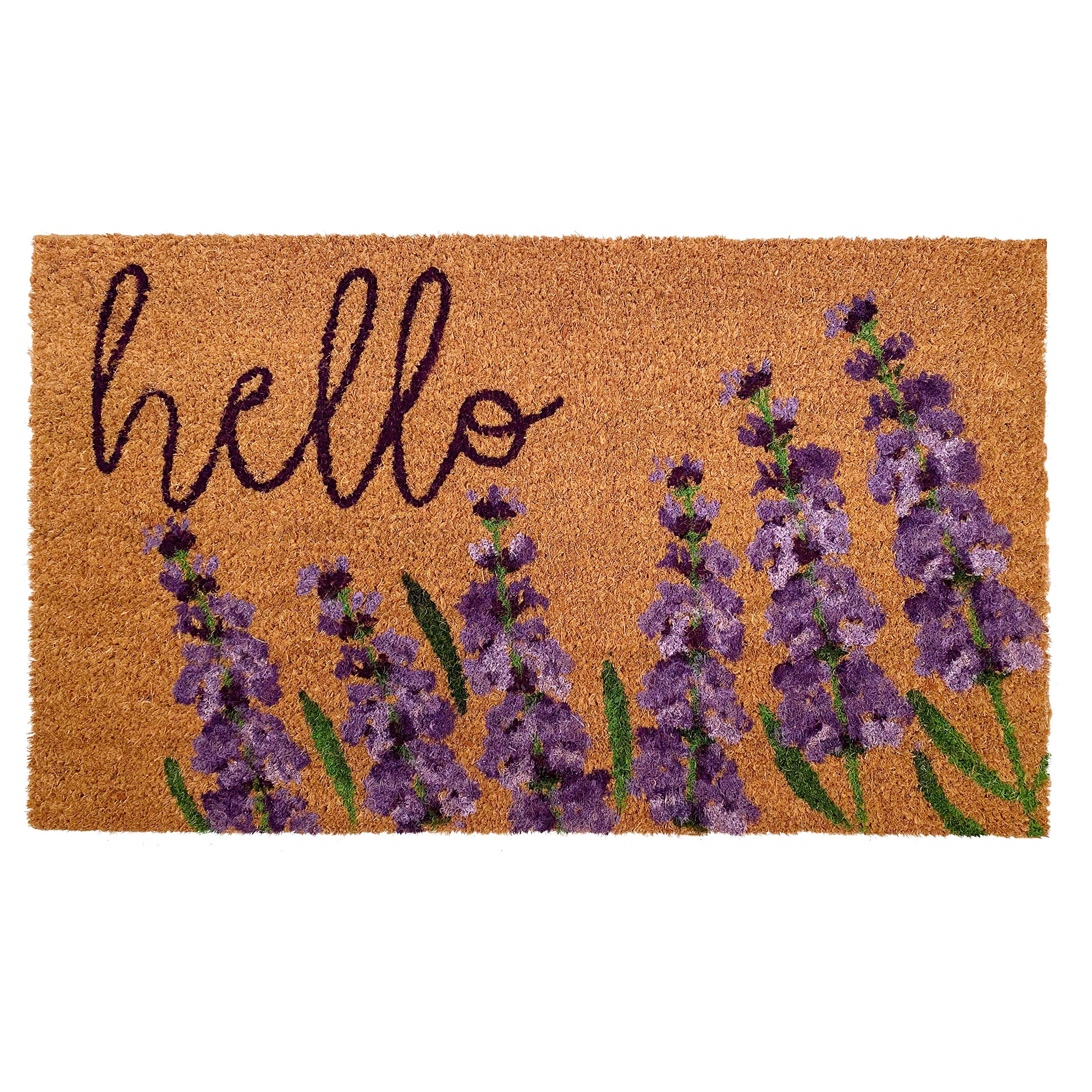 Calloway Mills AZ106011729 Indigo Hello Doormat, 17" x 29" Natural/Purple | Amazon (US)