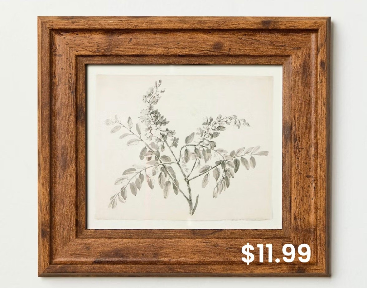 Framed sketch art for $11.99. New Hearth and Hand at Target 

#LTKHome #LTKFindsUnder50 #LTKSeasonal