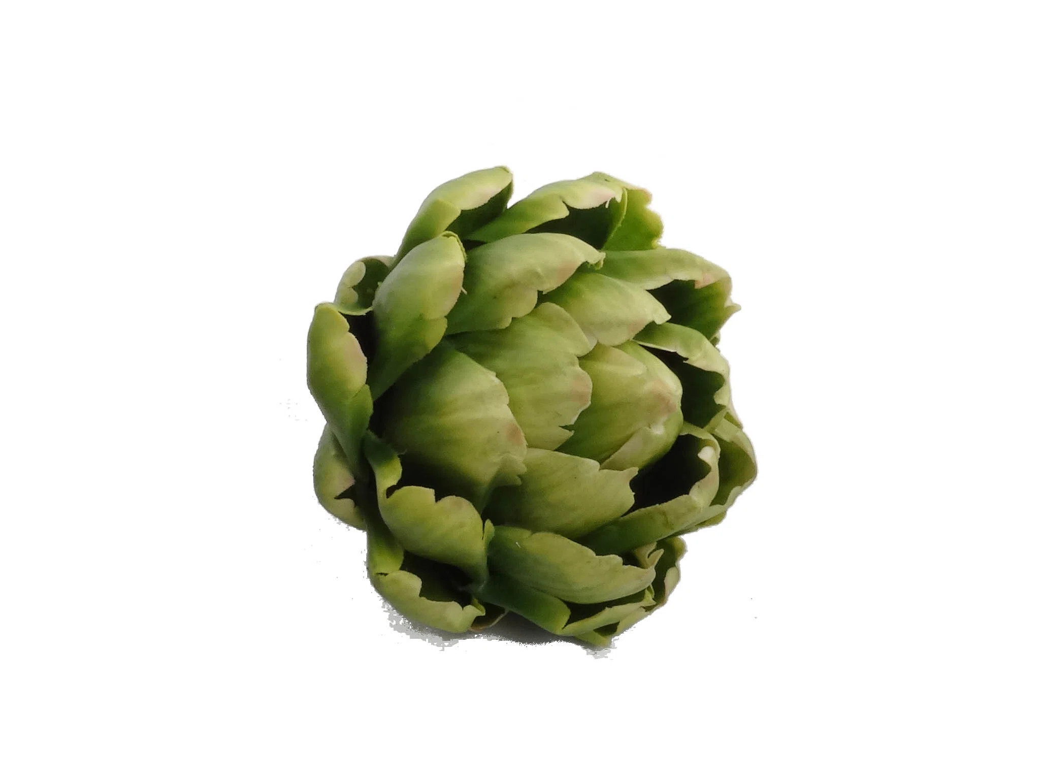 Primrue 6 Green Artificial Artichoke 5.5" Tall Vegetables - Perfect for Centerpieces and Decor & ... | Wayfair North America