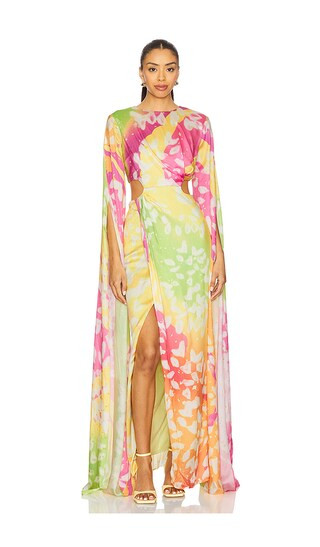 Reike Dress in Tropical Paradise Print | Revolve Clothing (Global)