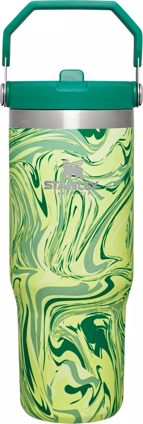 Stanley 30 Oz. IceFlow Tumbler with Flip Straw | Dick's Sporting Goods