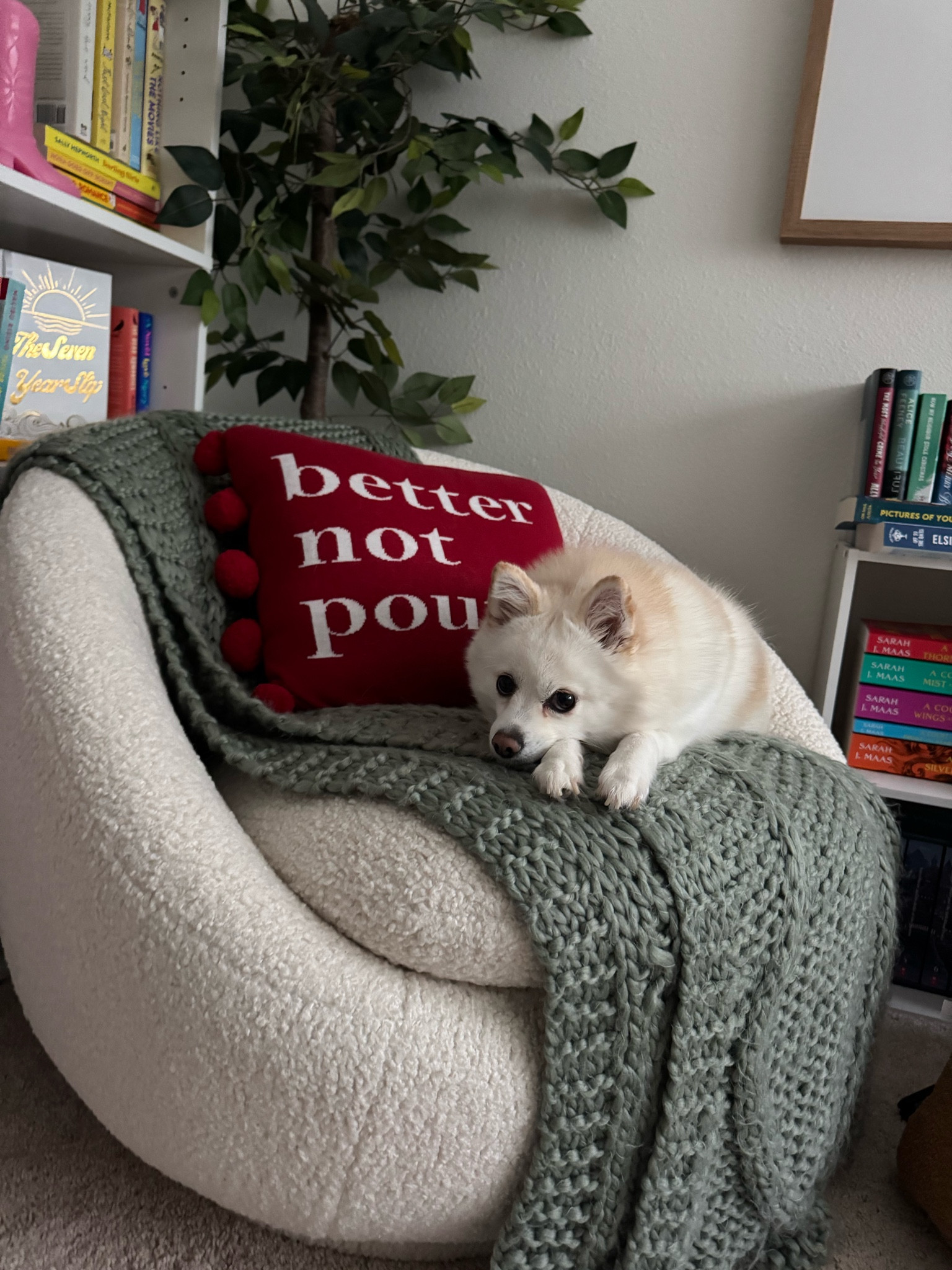 #LTKFindsUnder50 #LTKSeasonal #LTKHoliday