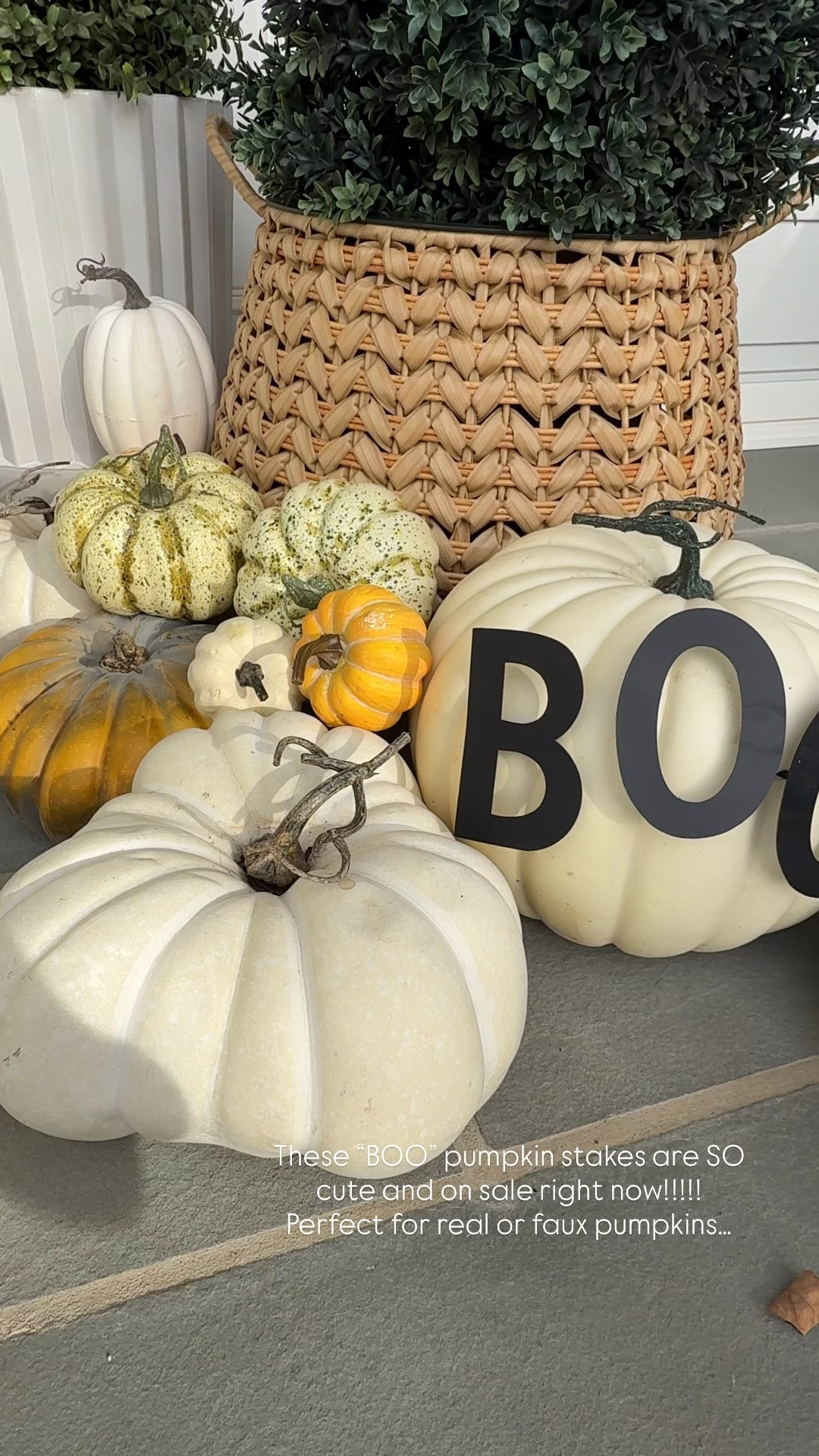 These “BOO” pumpkin stakes are so cute and on sale!!!  I use them every year in our faux pumpkins but the work with real pumpkins too. The cutest Halloween decor under $20 right now!

#LTKSaleAlert #LTKSeasonal #LTKHome