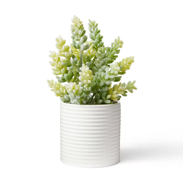 9.5" x 5" Faux Succulent Plant in Ribbed Pot White - Hilton Carter for Target | Target