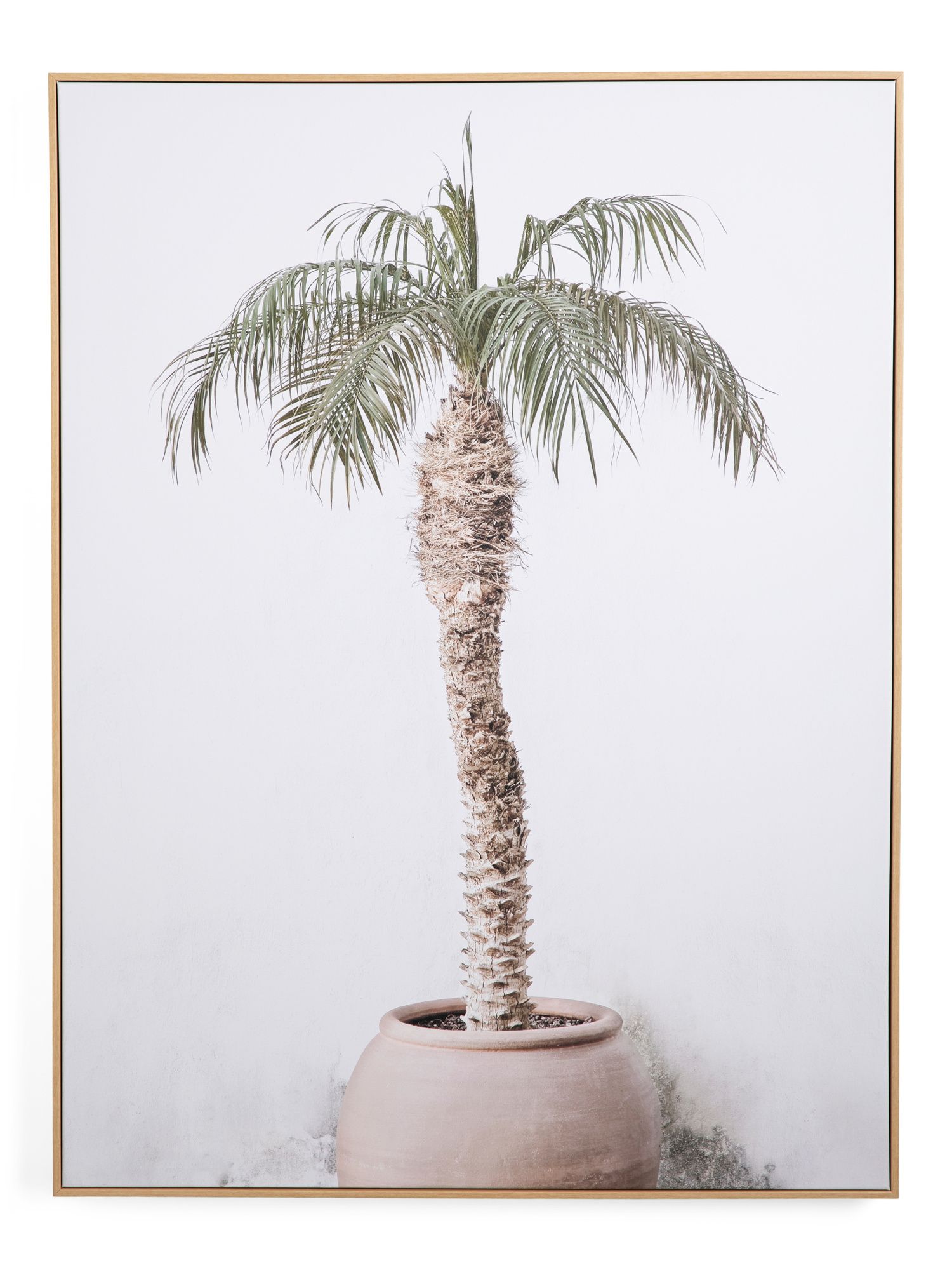 30x40 Potted Palm Framed Canvas | TJ Maxx