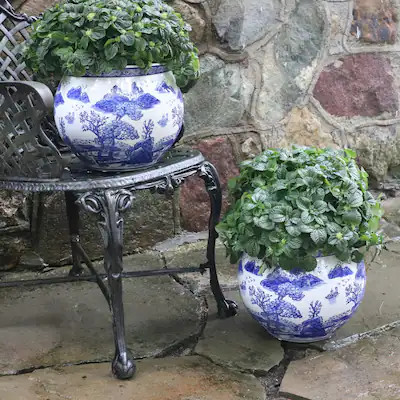 Planters - Bed Bath & Beyond | Bed Bath & Beyond