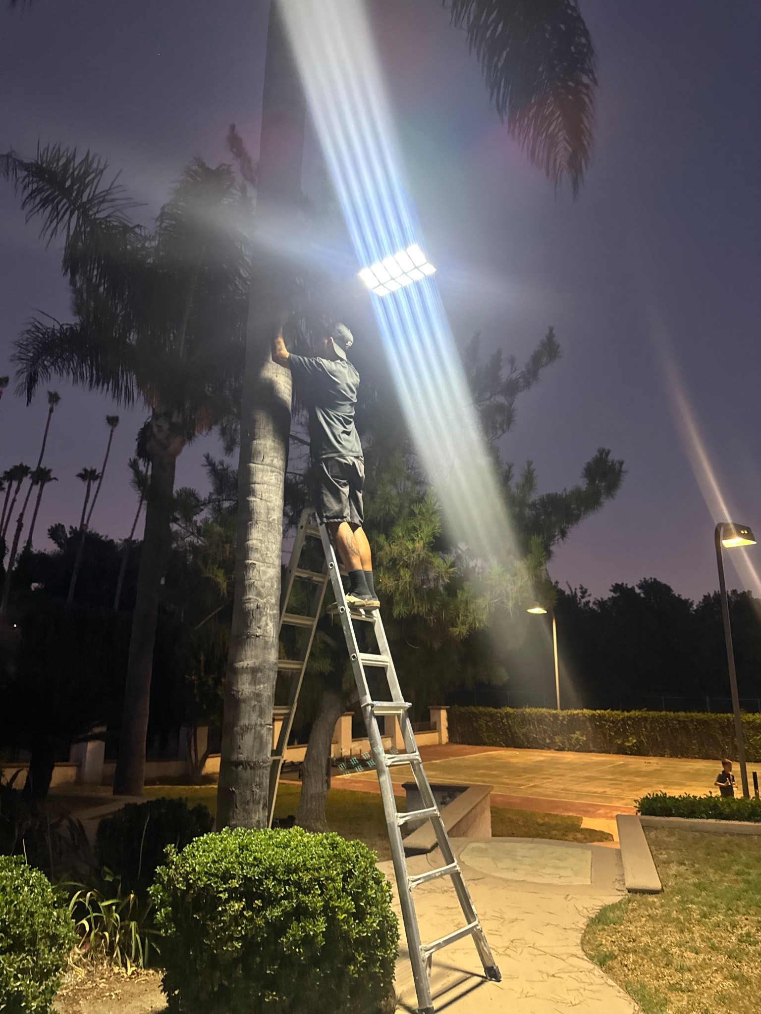 NEW LIGHT 🤍

#LTKFamily