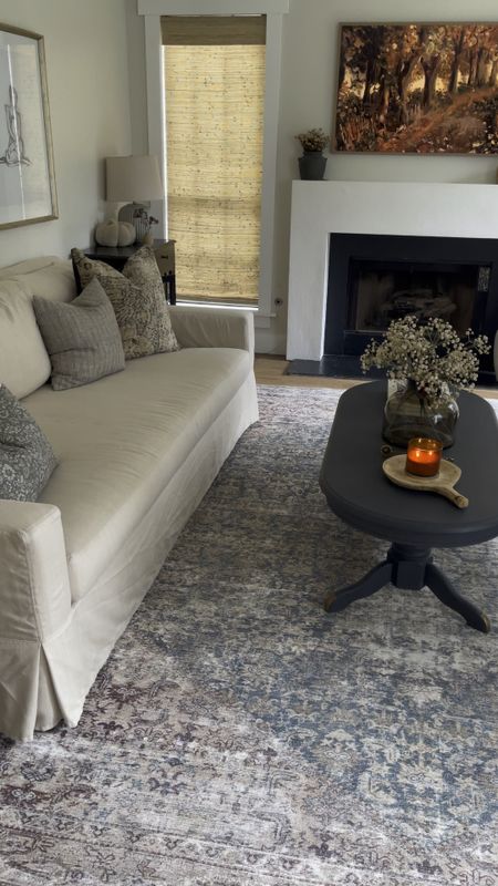 living room decor
coffee table
pottery barn sofa
machine washable sofa
rug
mirror
accent chairs



#LTKhome