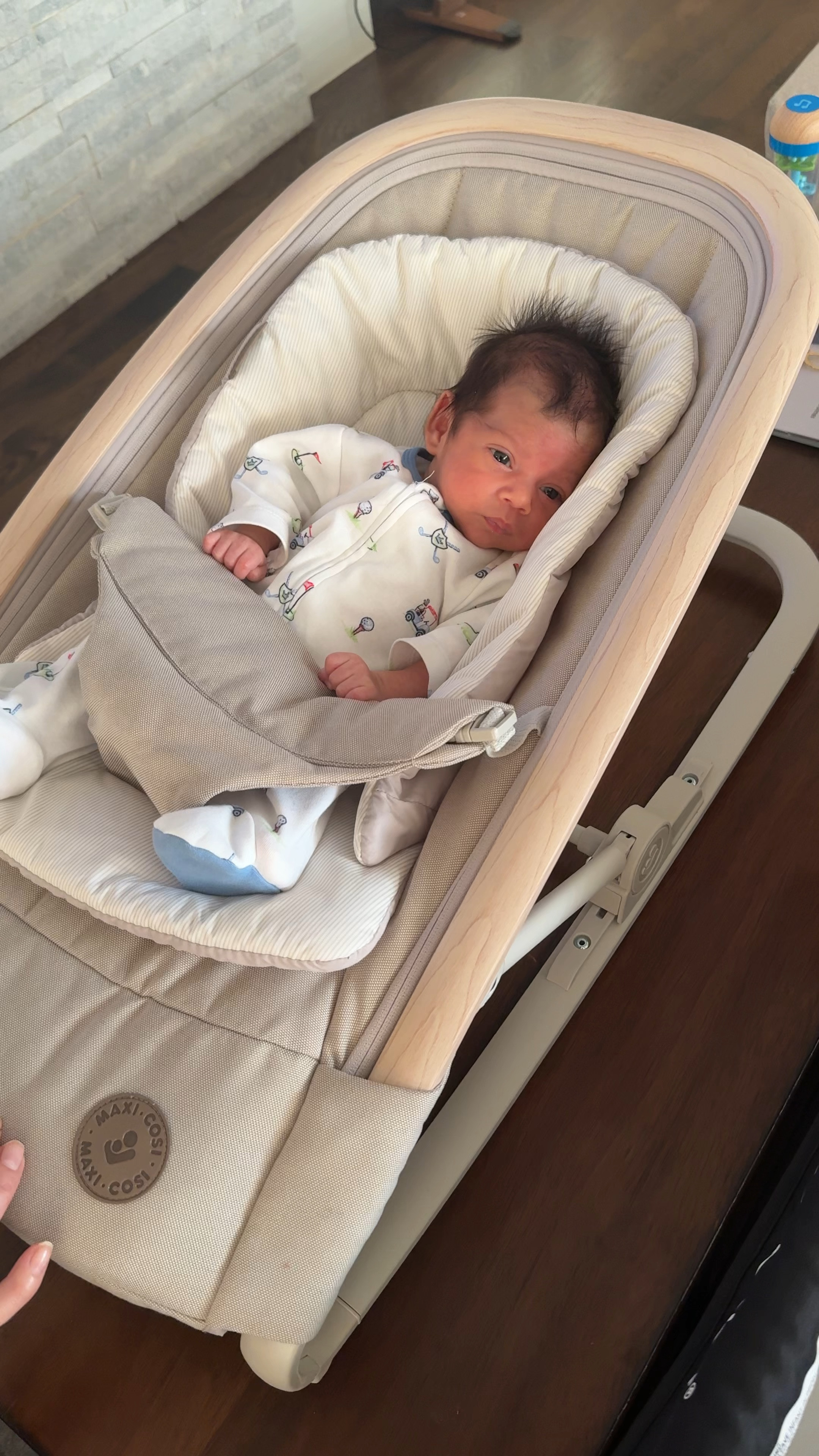 The best baby rocker!!!

#LTKFamily #LTKSaleAlert #LTKBaby