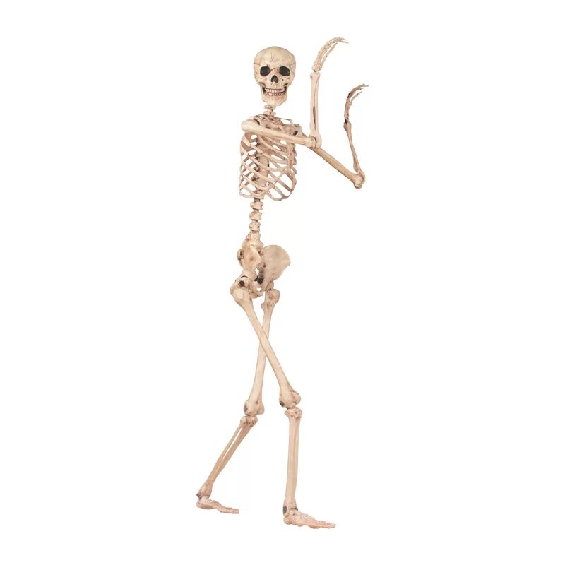 The Holiday Aisle® Pose-N-Stay Skeleton & Reviews | Wayfair | Wayfair North America