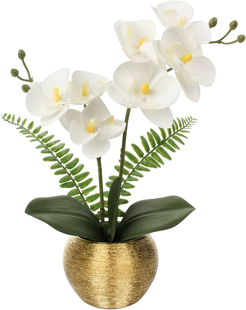 Briful Artificial Orchid Flowers in Gold Ceramic Pot, 13" Small White Faux Phalaenopsis Orchid Fl... | Amazon (US)