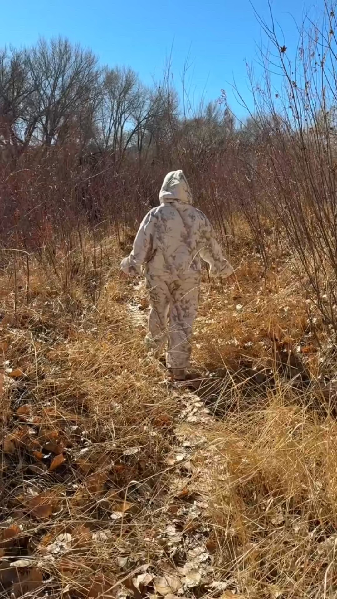 Happy September!! 🍁🍂

Wearing a large in the hoodie and xl in the pants 

#LTKMidsize #LTKSaleAlert #LTKOver40