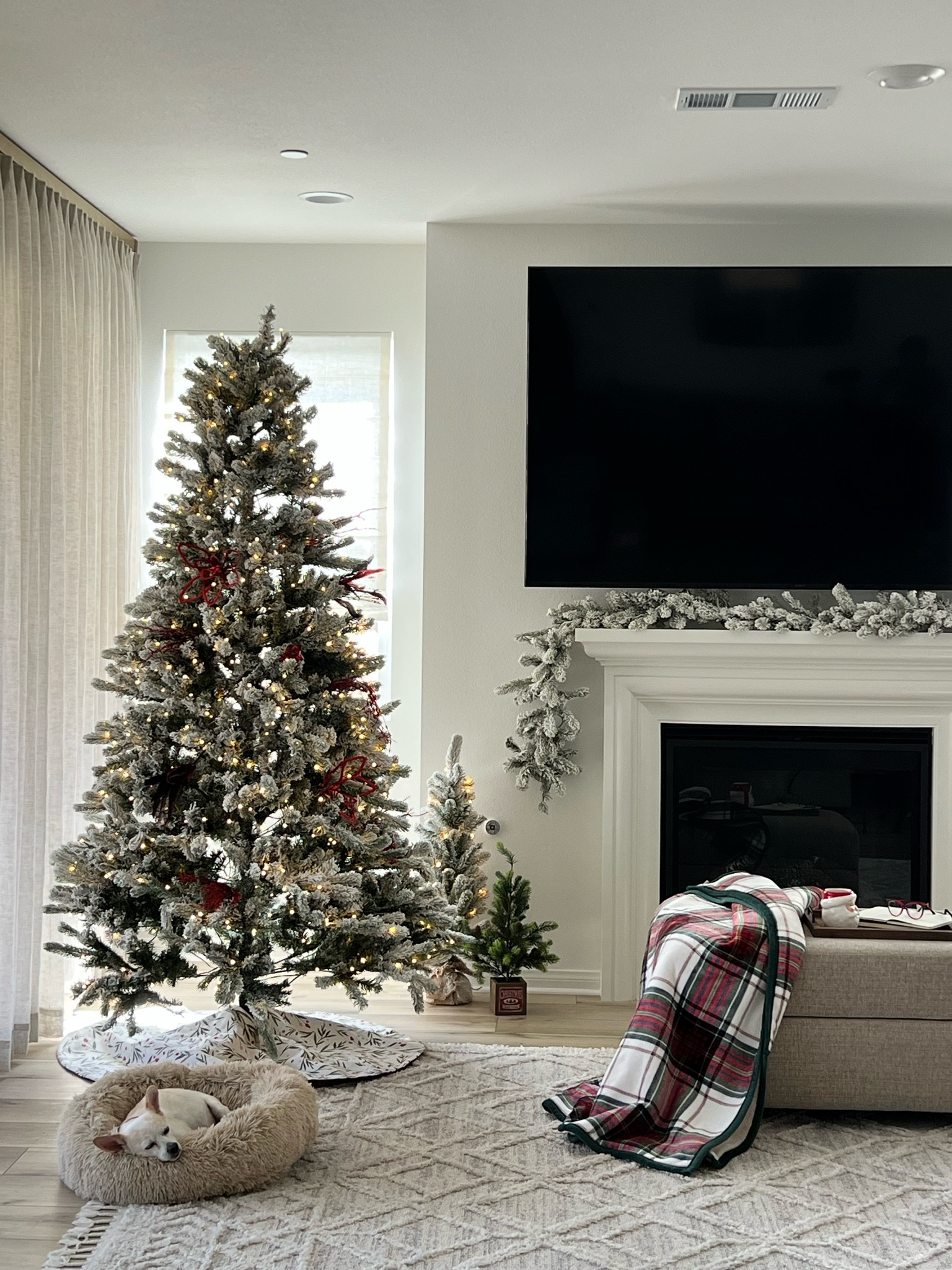 Christmas is coming early this year! I love my King of Christmas flocked tree and 4 piece home decor set! I can’t wait to start decorating! 

#LTKHolidaySale #LTKSeasonal #LTKHoliday