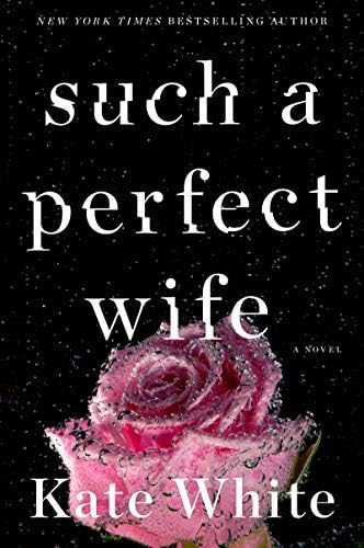 Such a Perfect Wife: A Novel | Amazon (US)