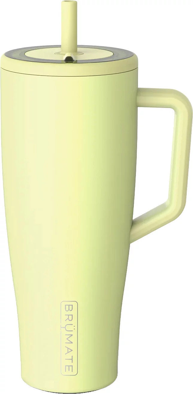 BruMate Era 40 oz. Straw Tumbler, Prickly Pear | Public Lands