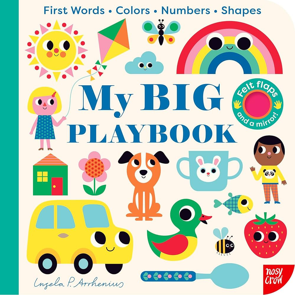My BIG Playbook | Amazon (US)