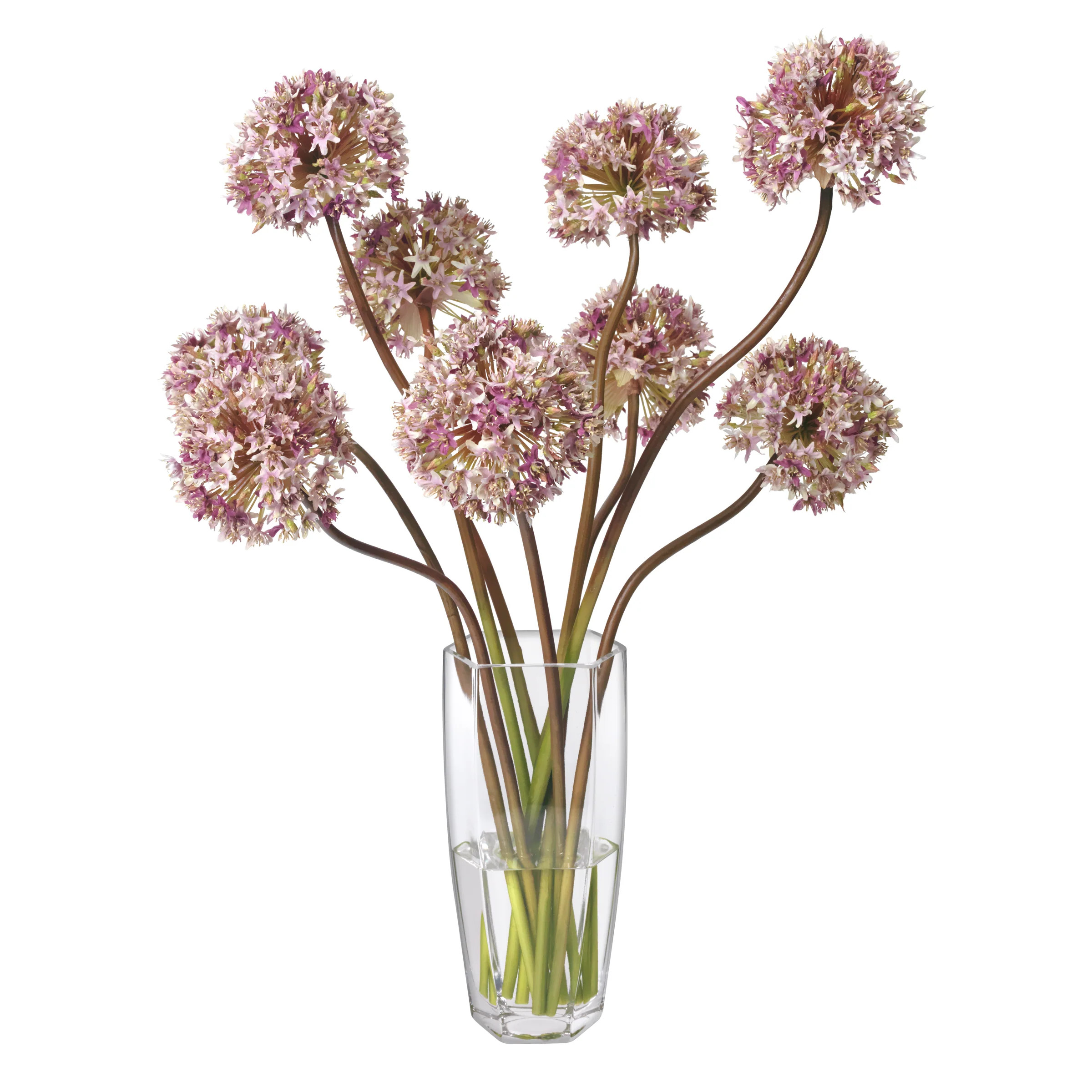 Revival | Diane James Home