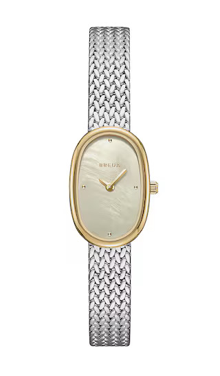 Small Jane Watch in Two Tone | Revolve Clothing (Global)