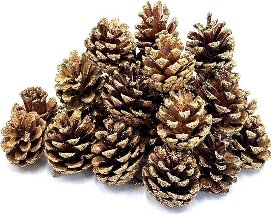 30 PCS Christmas Pine Cones, 1.6-2 Inch Natural Pine Cones, Glitter Pinecones for Vase & Bowl Fil... | Amazon (US)