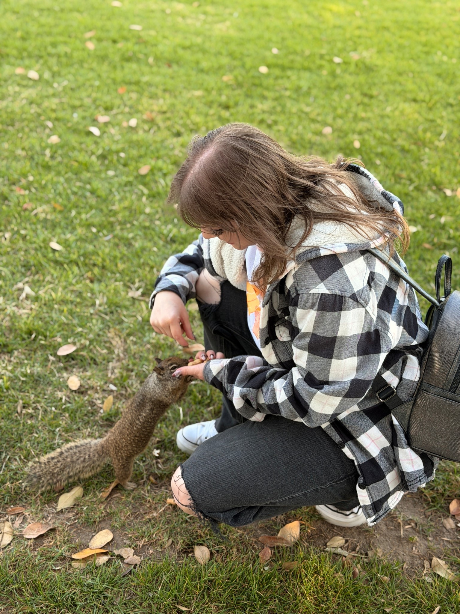 Squirrel! Sweater was thrifted, no idea where it’s from  

#LTKvlog #LTKPetite #LTKTravel