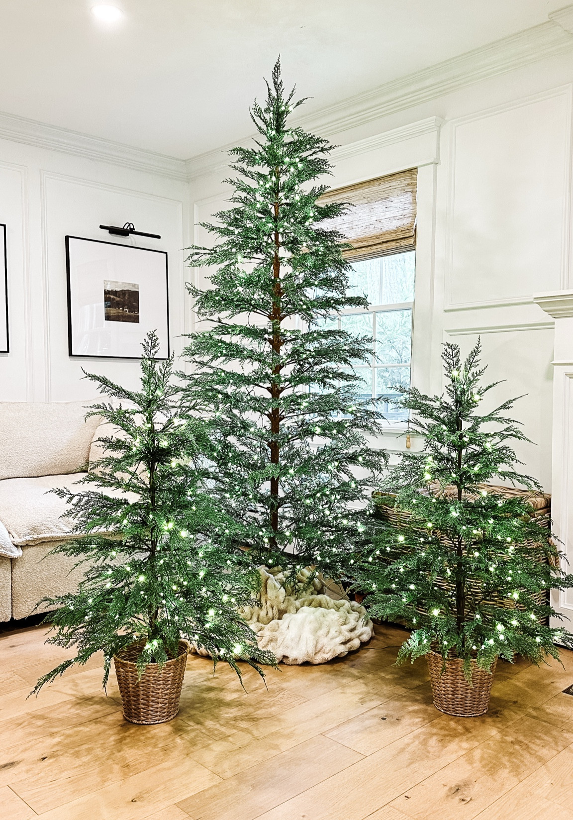 These viral trees have the prettiest twinkle. They’ve been hard to find. I was able to find my potted trees by checking daily for local pickup. 

#LTKHoliday #LTKSeasonal #LTKSaleAlert