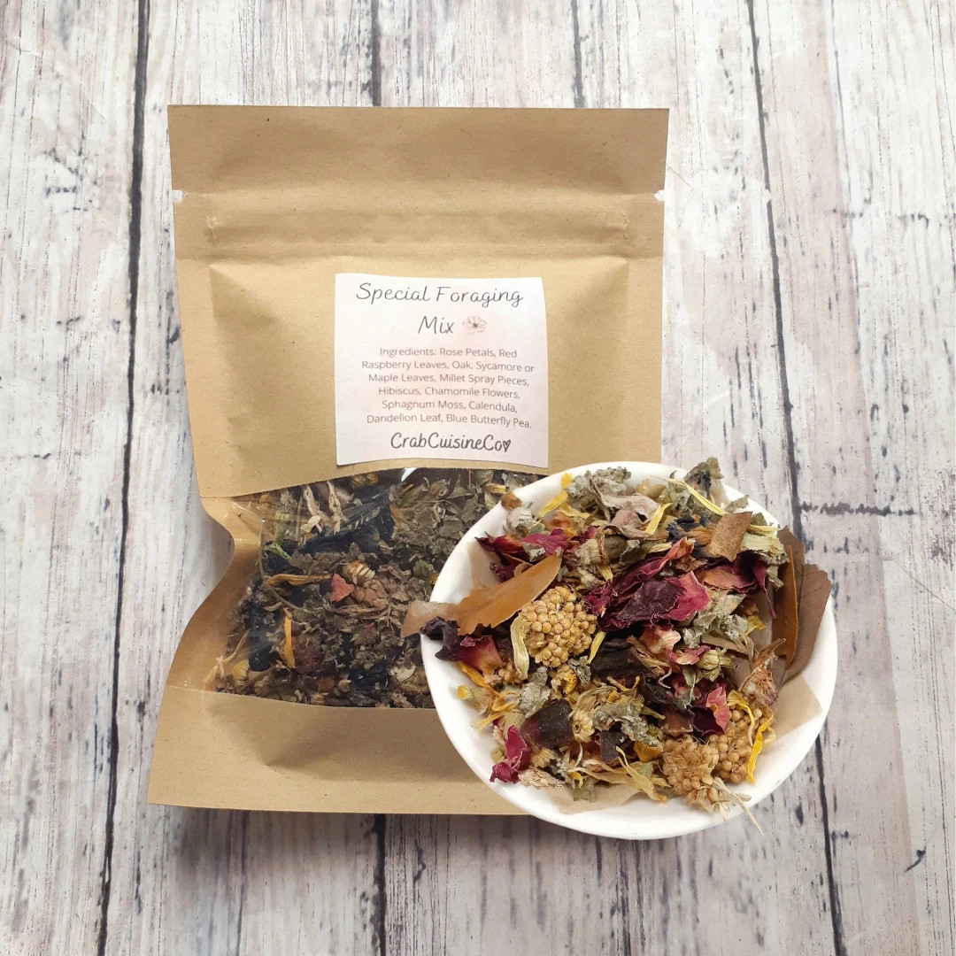 Special Foraging Mix for Hermit Crabs - Hermit Crab Food - Foraging Mix - Crabcuisineco - Etsy | Etsy (US)