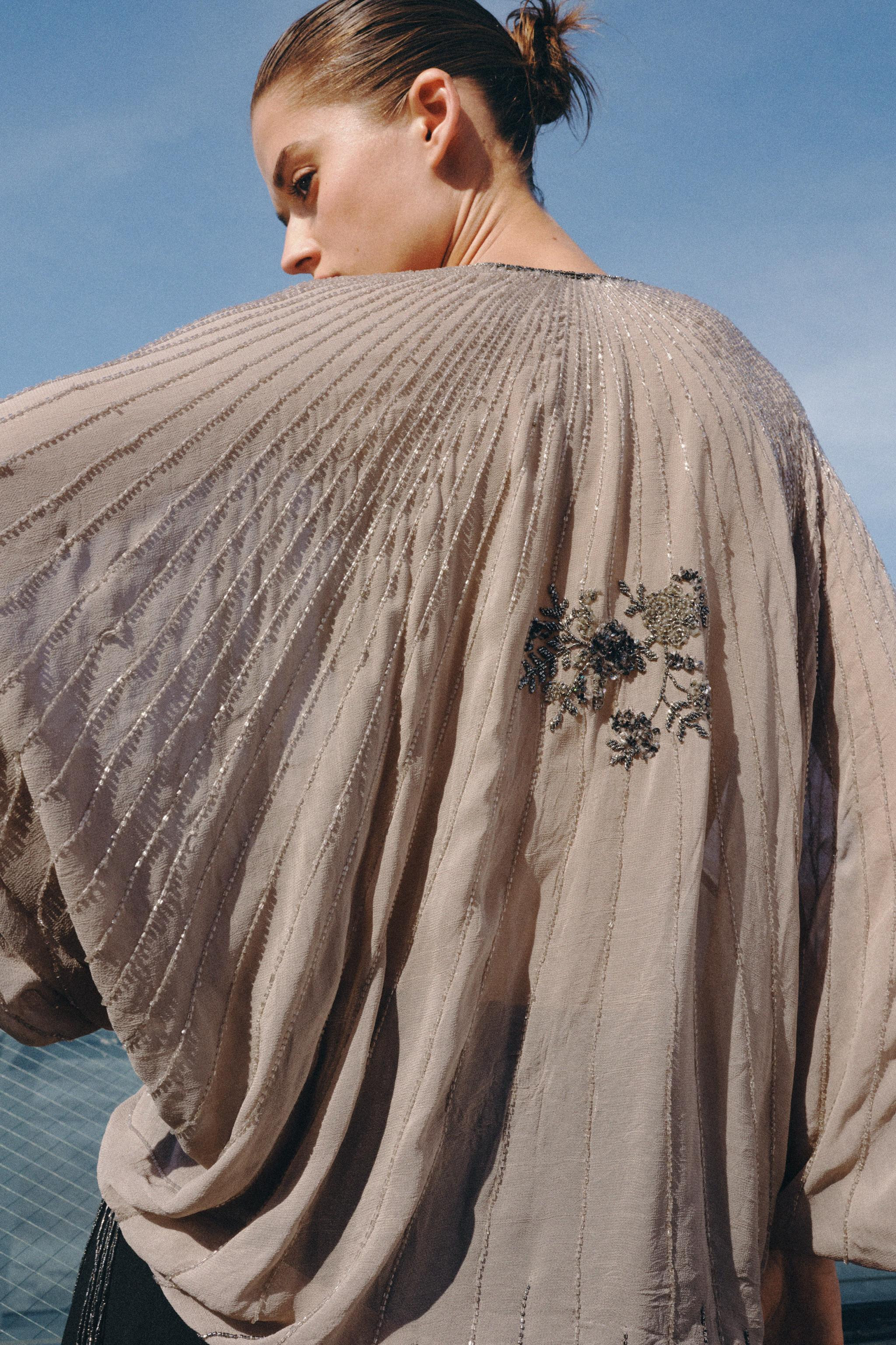 LIMITED EDITION EMBROIDERED BEADED TOP | Zara UK