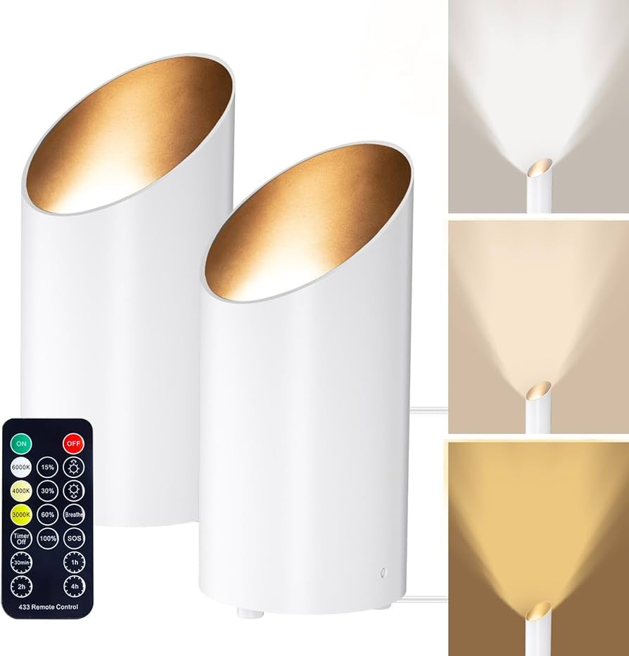 Brightown LED SpotLights - 2 Pack Uplighting Floor Can Lights with Remote and Timer, 3 Color Temp... | Amazon (US)