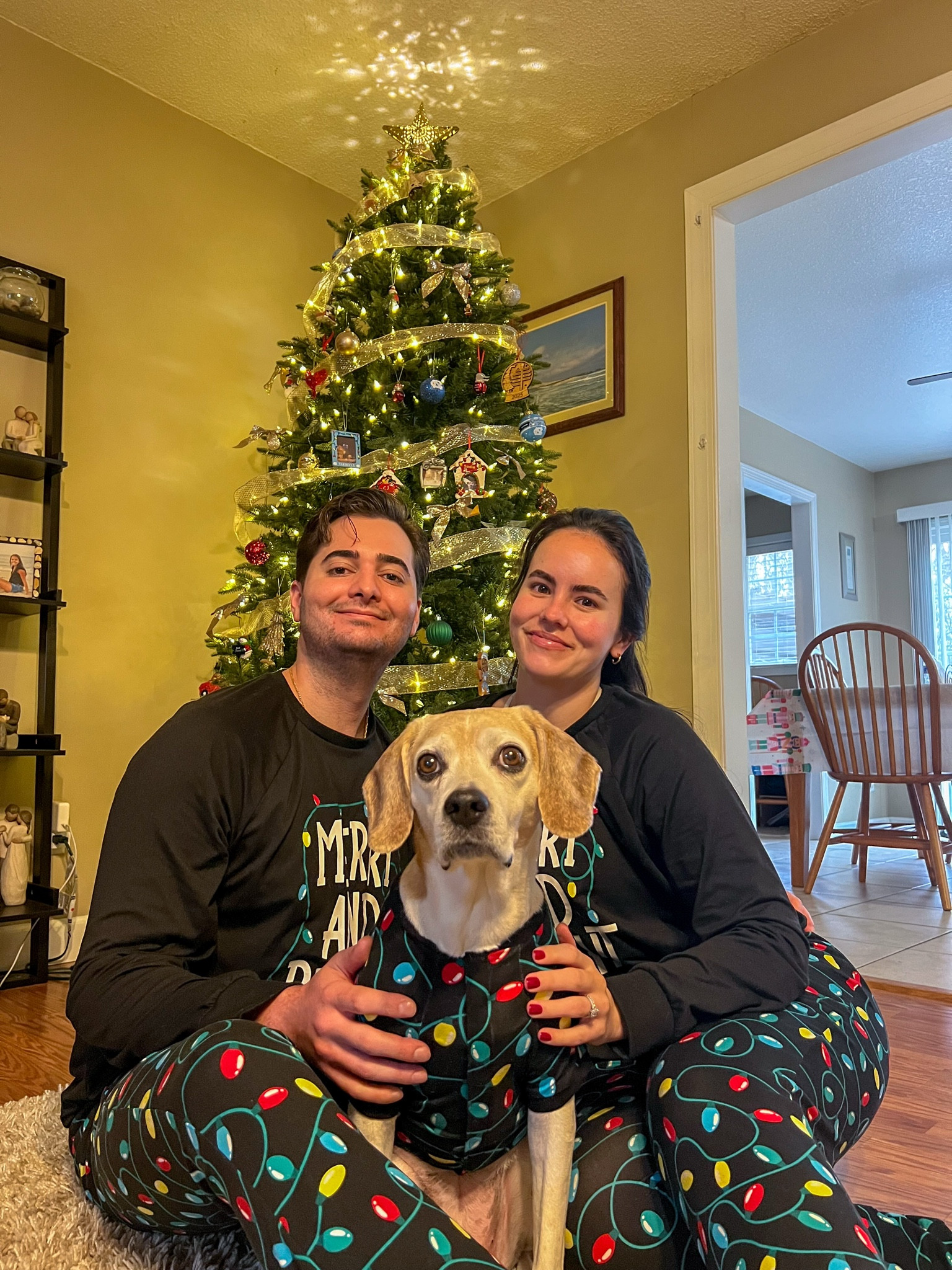 Matching family Christmas pajamas 

#LTKHoliday #LTKGiftGuide #LTKSeasonal