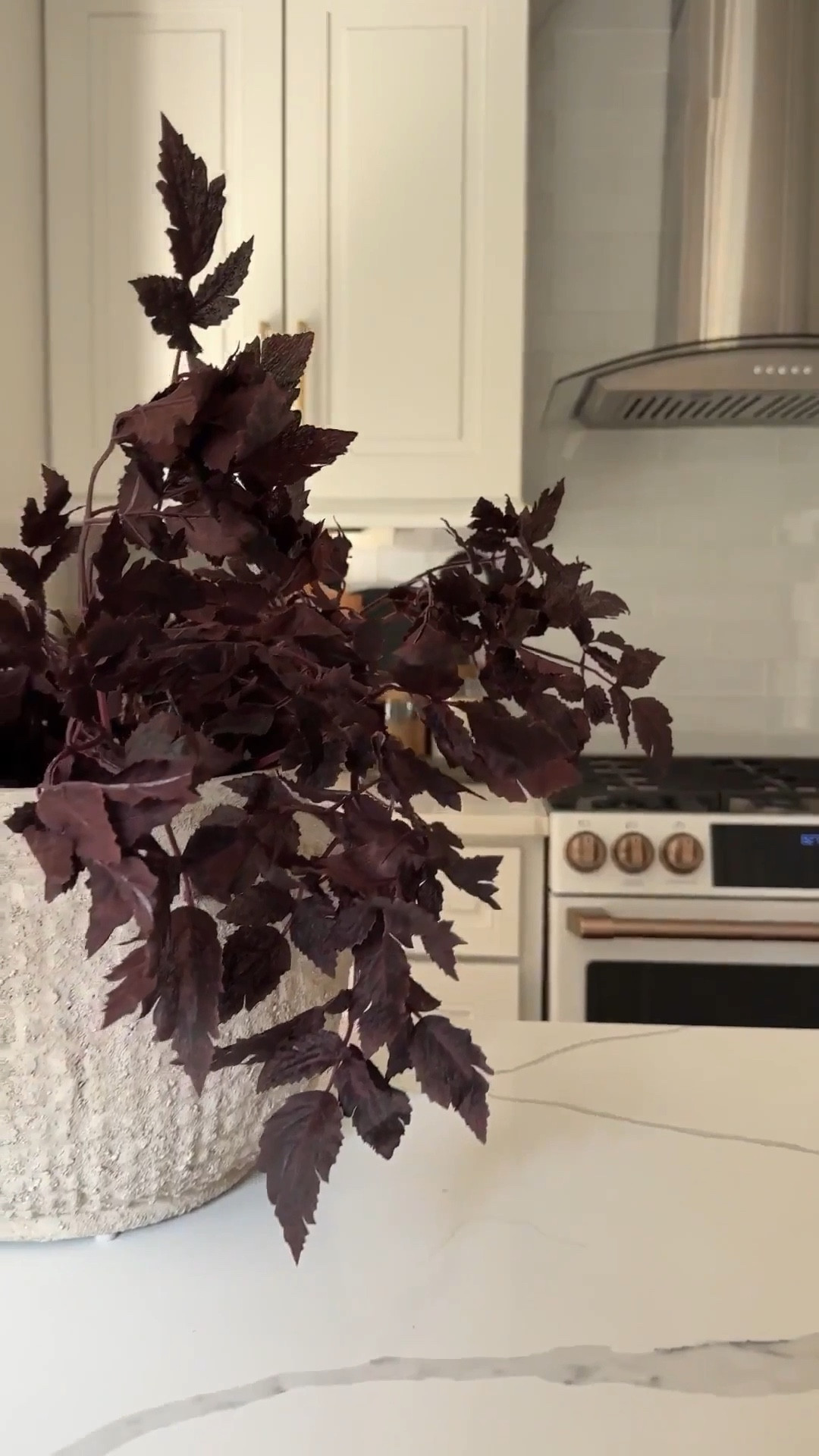 If you’re looking for a beautiful neutral stem to style in your home post holidays, I love these! I keep these styled in my home year round. 

#LTKHome #LTKSaleAlert