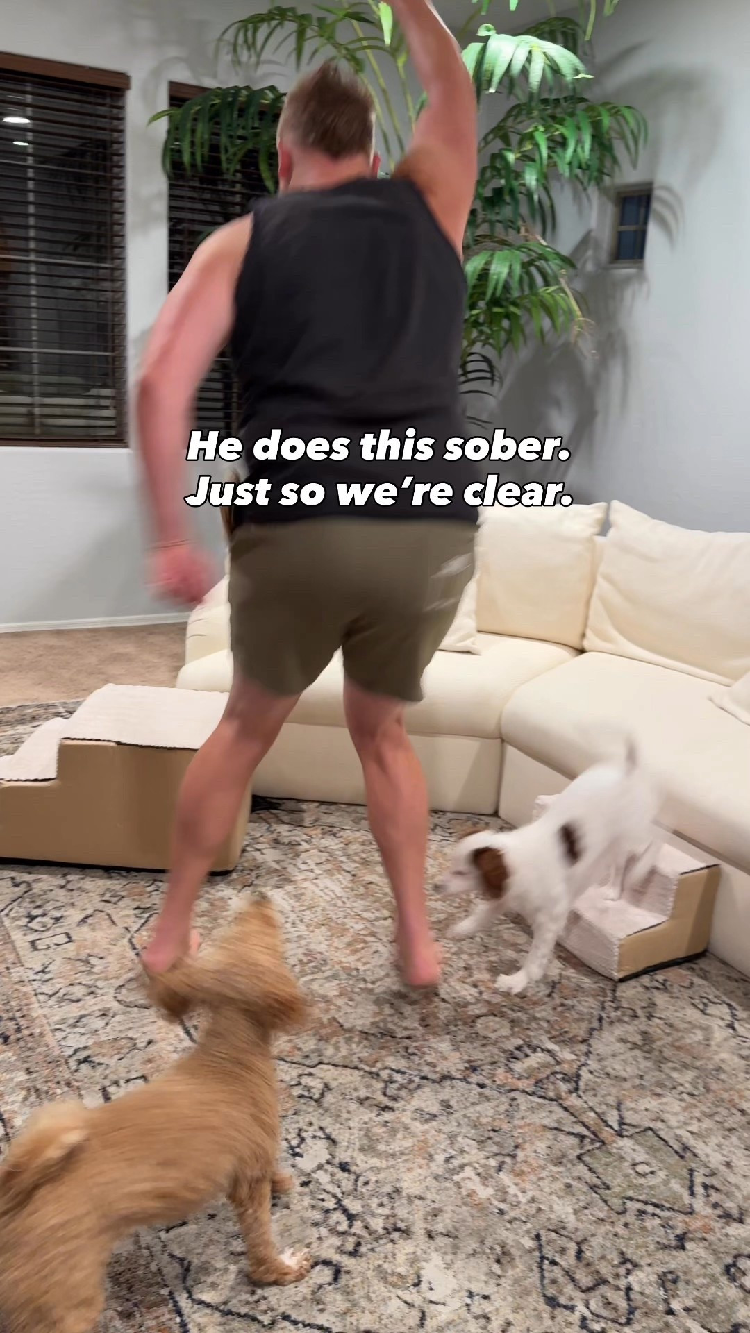 I’m not really sure who likes the toy better

#LTKPets #LTKOver40 #LTKHome