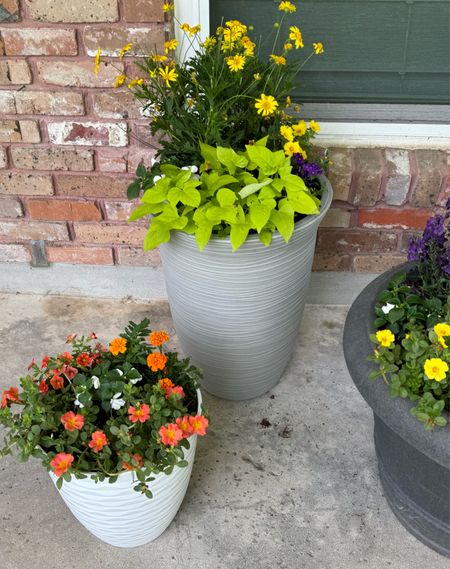 Using planters to create height, depth, and color in your outdoor living area stylings.

#LTKhome #LTKSeasonal #LTKfindsunder50