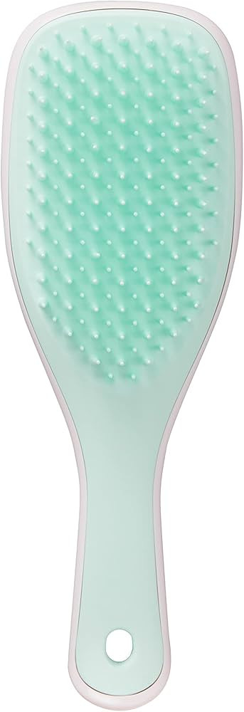 Tangle Teezer The Mini Ultimate Detangling Brush, Dry and Wet Hair Brush Detangler for Traveling ... | Amazon (US)