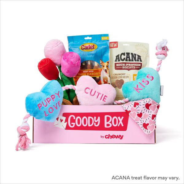 GOODY BOX Valentine's Dog Toys & Treats, Medium/Large - Chewy.com | Chewy.com