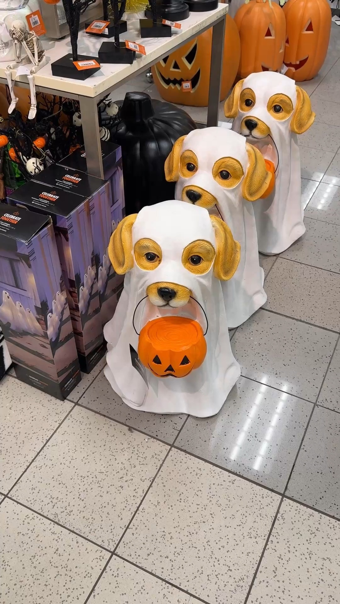 All of my decor finds from Kohl’s!

#LTKSaleAlert #LTKSeasonal #LTKHome