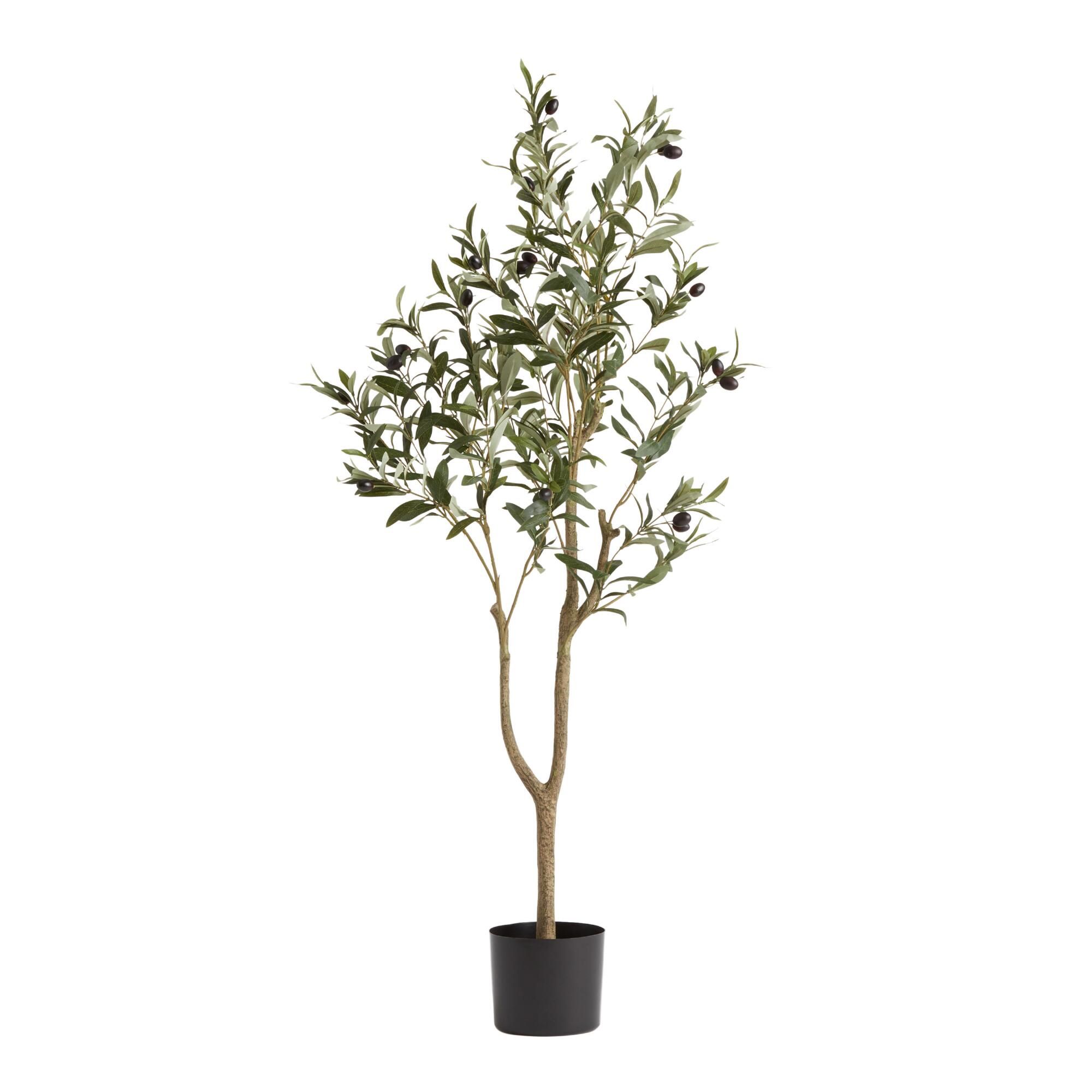 Faux Olive Tree by World Market | World Market