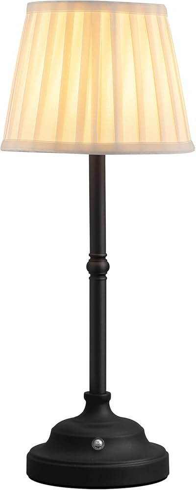 KDG Cordless LED Table Lamp, Portables Fabric Shade Desk Lamps, 4000mAh Rechargeable Battery Powe... | Amazon (US)