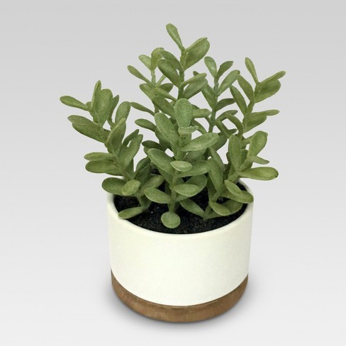 Artificial Plant in White Pot Medium - Threshold™ | Target