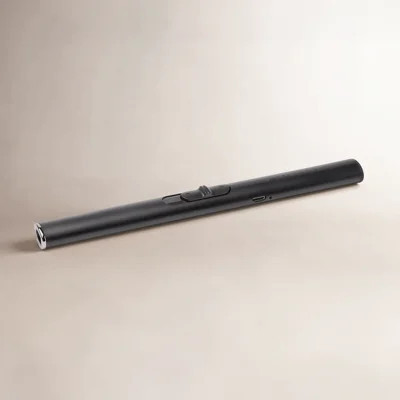 Illume Rechargeable USB Lighter | Birch Lane