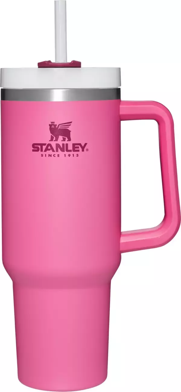 Customers pay over $150 for picture of pink Stanley cup - Dexerto