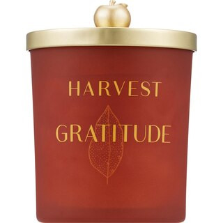 Joyward Harvest Gratitude Candle, Orchard Apple & Cinnamon, 9.5 oz | CVS Health