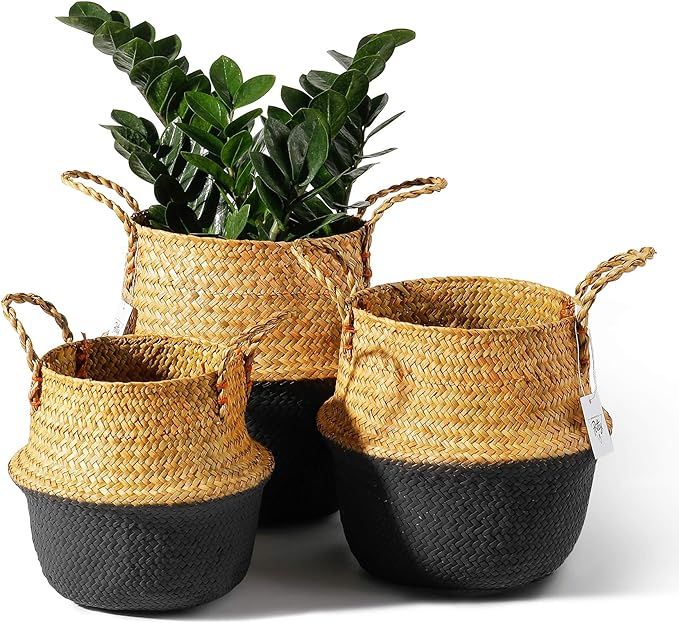 POTEY 730301 Seagrass Plant Basket Set of 3 - Hand Woven Belly Basket with Handles, Large Storage... | Amazon (US)