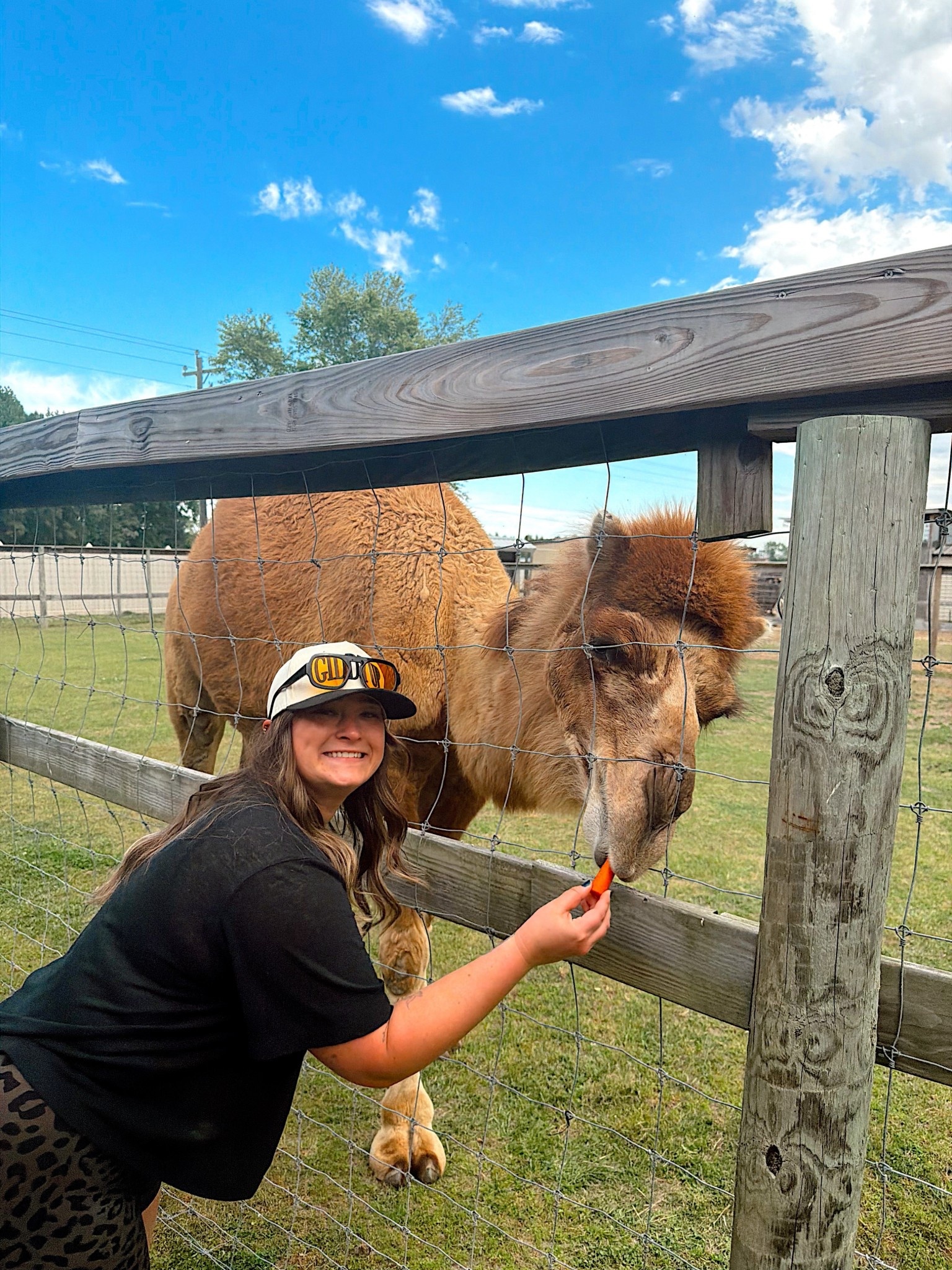 Perfect outfit for the zoo!! 🐻🦔🦊🐼🐨☀️🤍

#LTKTravel #LTKootd #LTKgrwm
